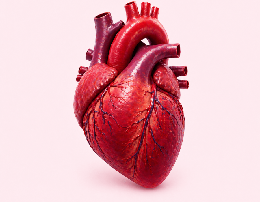 Affordable Heart Attack Treatment in Jaipur Heart attack treatment Advanced heart treatment heart failure treatment Jaipur emergency Heart Care
